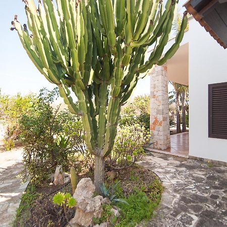 Villa Rose มารีนา ดี มันกาแวร์ซา ภายนอก รูปภาพ